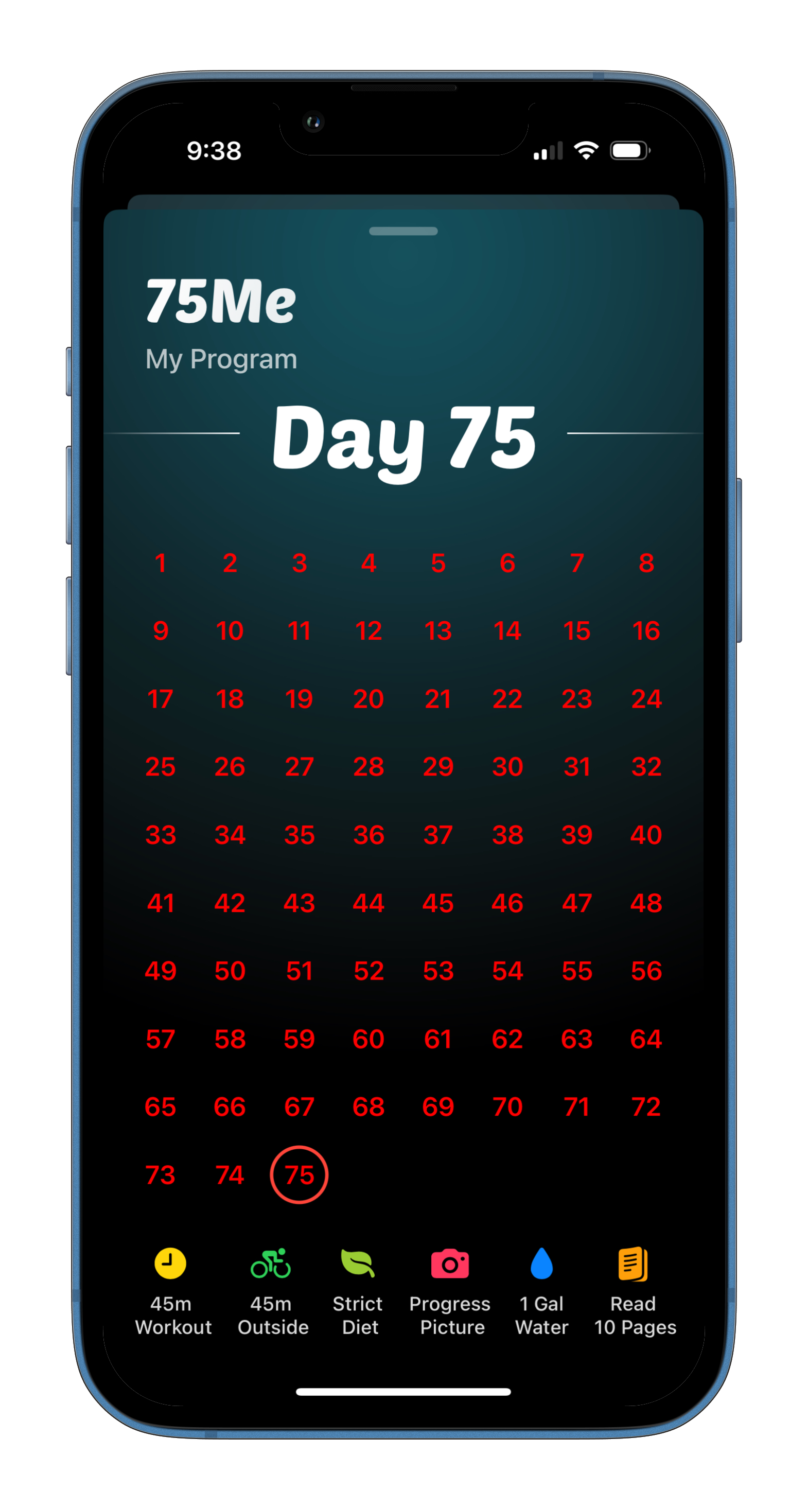 75Me Transformation Feature